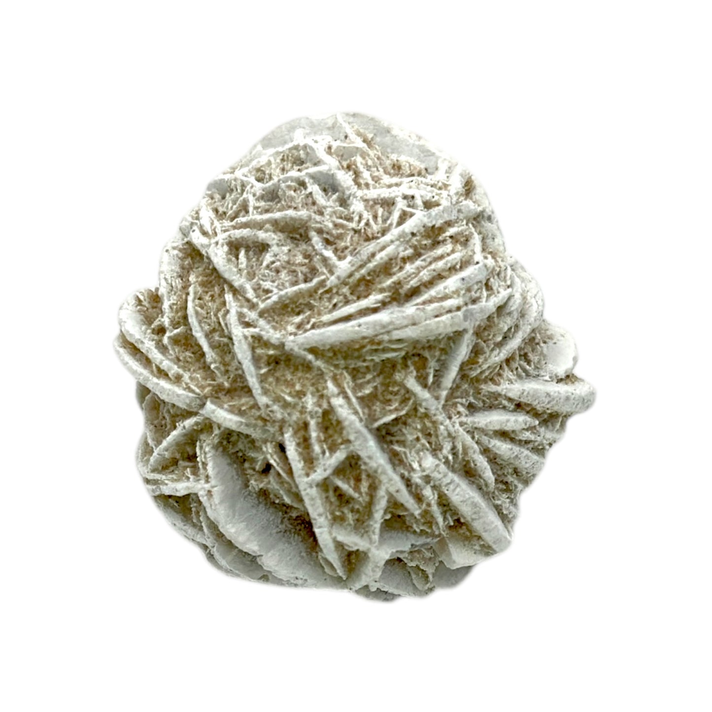 Rosa del Desierto (gramo)